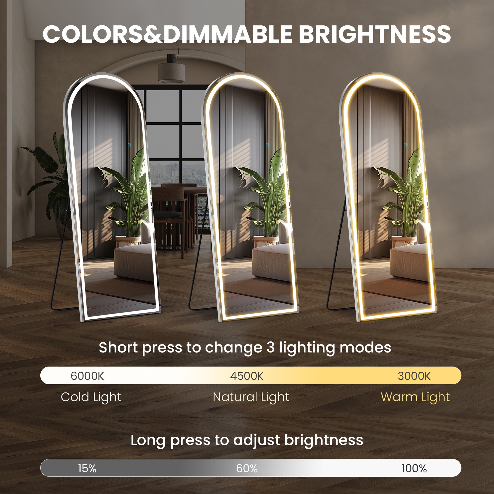 3 Color Lighting Mirror With Led Lights, 71"X26" Lighted Floor Standing Mirror With Stand Black Fiberglass