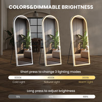 3 Color Lighting Mirror With Led Lights, 71"X26" Lighted Floor Standing Mirror With Stand Black Fiberglass
