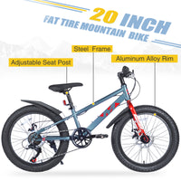 20 Inch Kids Bicyclesfat Tire Mountain Bike For Boys And Girls Age 5 Years ,Dual Disc Brake,Shimano 7 Speed ,Kids Beach And Snow Bicycle Grey Steel