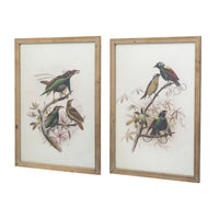S 2 Bird Framed Print, 19.5X27.5" Multicolor Wood