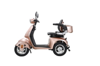 Fastest Mobility Scooter With Four Wheels For Adults & Seniors Rose Abs Pc