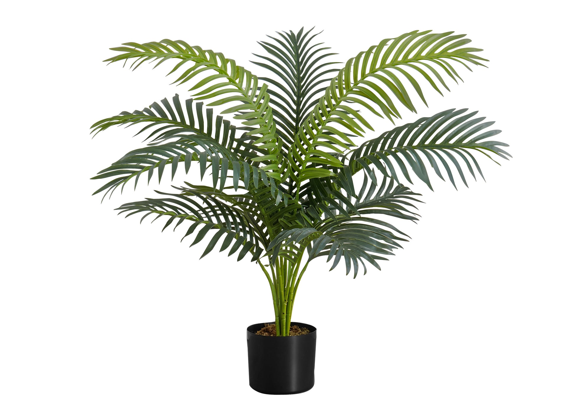 Artificial Plant, 34" Tall, Palm Tree, Indoor, Faux, Fake, Floor, Greenery, Potted, Real Touch, Decorative, Green Leaves, Black Pot Green Plastic