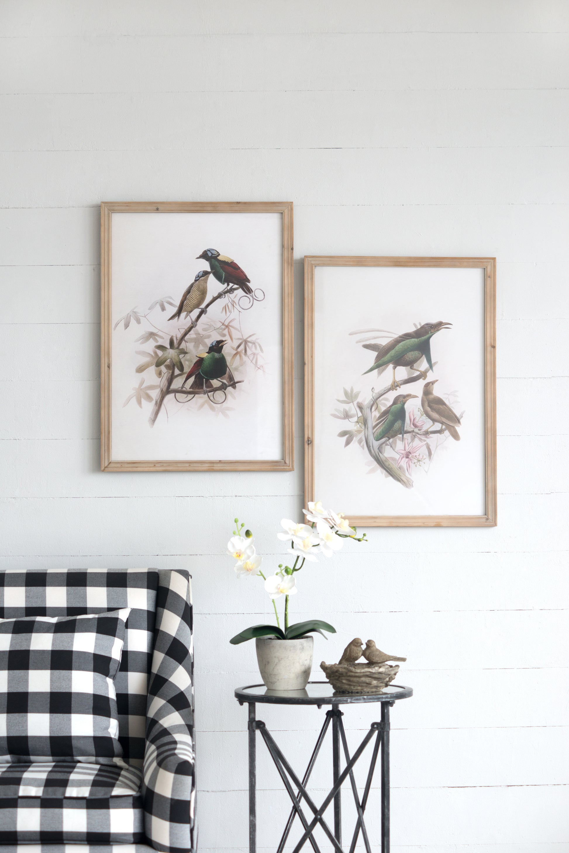 S 2 Bird Framed Print, 19.5X27.5" Multicolor Wood