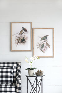 S 2 Bird Framed Print, 19.5X27.5" Multicolor Wood