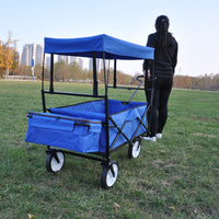 Garden Shopping Beach Cart Folding Wagon Blue Blue Metal