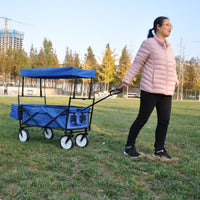 Garden Shopping Beach Cart Folding Wagon Blue Blue Metal