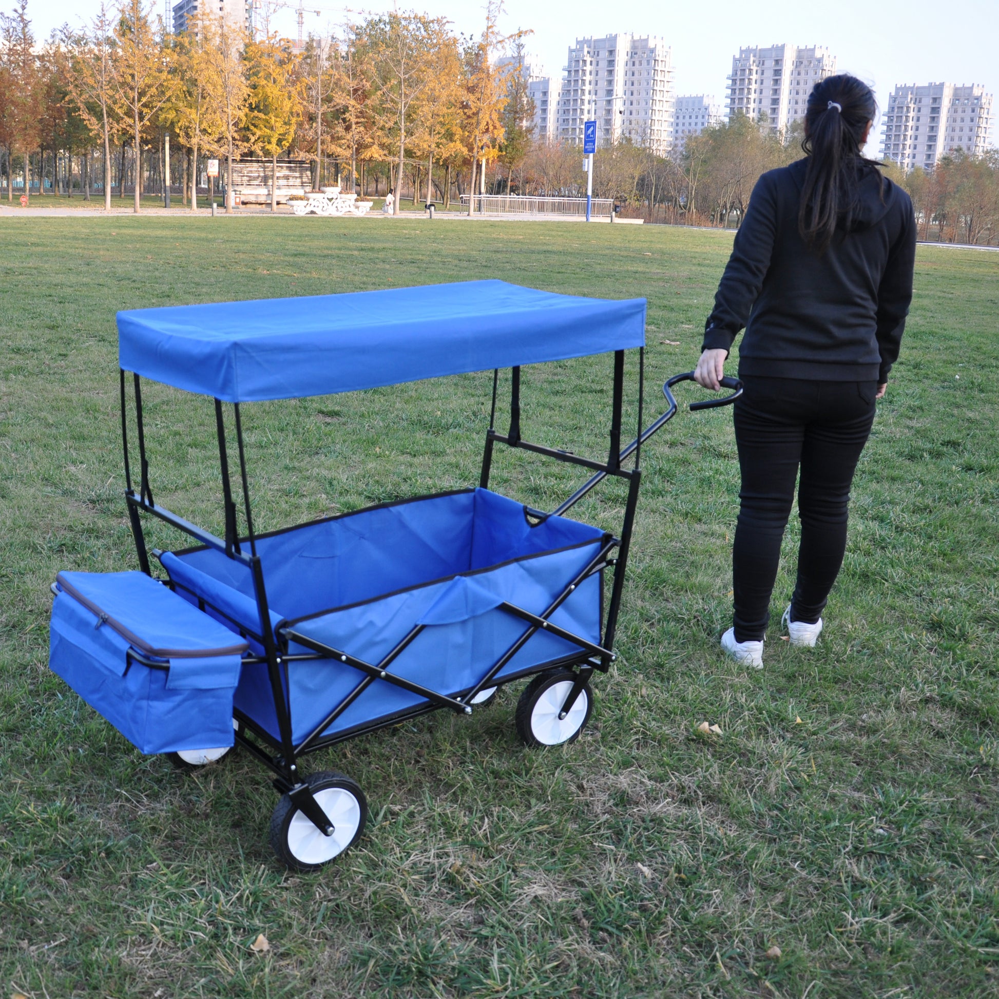 Garden Shopping Beach Cart Folding Wagon Blue Blue Metal