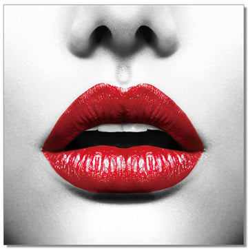 Oppidan Home "Red Lips" Acrylic Wall Art 40"H X 40"W Multicolor Acrylic