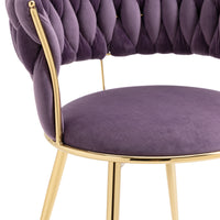 Coolmore Velvet Dining Chairs Set Of 2, Woven Upholstered Dining Chairs With Gold Metal Legs, Modern Accent Chairs For Living Room, Dining Room, Kitchen Purple Velvet Purple Foam Velvet