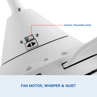 30 In Intergrated Led Ceiling Fan Lighting With White Abs Blade White Abs