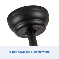 44 In Intergrated Led Ceiling Fan With Black Abs Blade Black Plywood