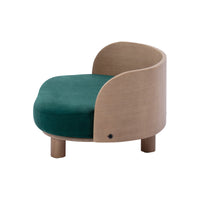 Scandinavian Style Elevated Dog Bed Pet Sofa With Solid Wood Legs And Bent Wood Back, Velvet Cushion, Walnut Green Foam Solid Wood