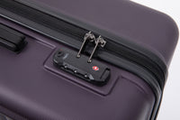 3 Piece Luggage Sets Abs Lightweight Suitcase With Two Hooks, Spinner Wheels, Tsa Lock, 20 24 28 Purple Purple Abs