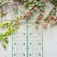 2 Pack Metal Garden Trellis 71" X 19.7" Rustproof Trellis For Climbing Plants Outdoor Flower Support Green Green Iron