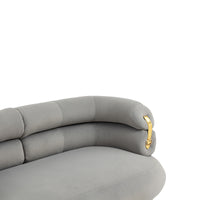 Coolmore Small Loveseat Sofa, Upholstered Mini Couch With Curved Backrest With Stylish Golden Decor, Small Comfy Beautiful Seat Leisure Accent Couch For Living Room, Bedroom, Office Gray Gray Foam Velvet