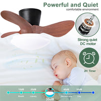 24'' Walnut Small Ceiling Fan With Lights And Remote Led 18W Modern Flush Mount Ceiling Fan Adjustable Color,Dc Quiet Motor Low Profile Ceiling Fan For Bedroom Kitchen Dining Patio,Fcc Walnut Black Abs Steel Q235