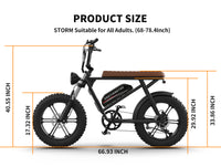 Aostirmotor Pattern Electric Bicycle 750W Motor 20" Fat Tire With 48V 13Ah Li Battery Black Aluminium