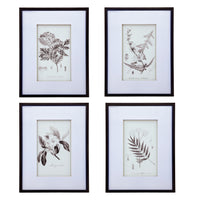 Set Of 4 Botanical Wall Art Prints, Home Decor For Living Room, Dining Room, Bedroom, Hallway, 20" X 28" White Black Plastic