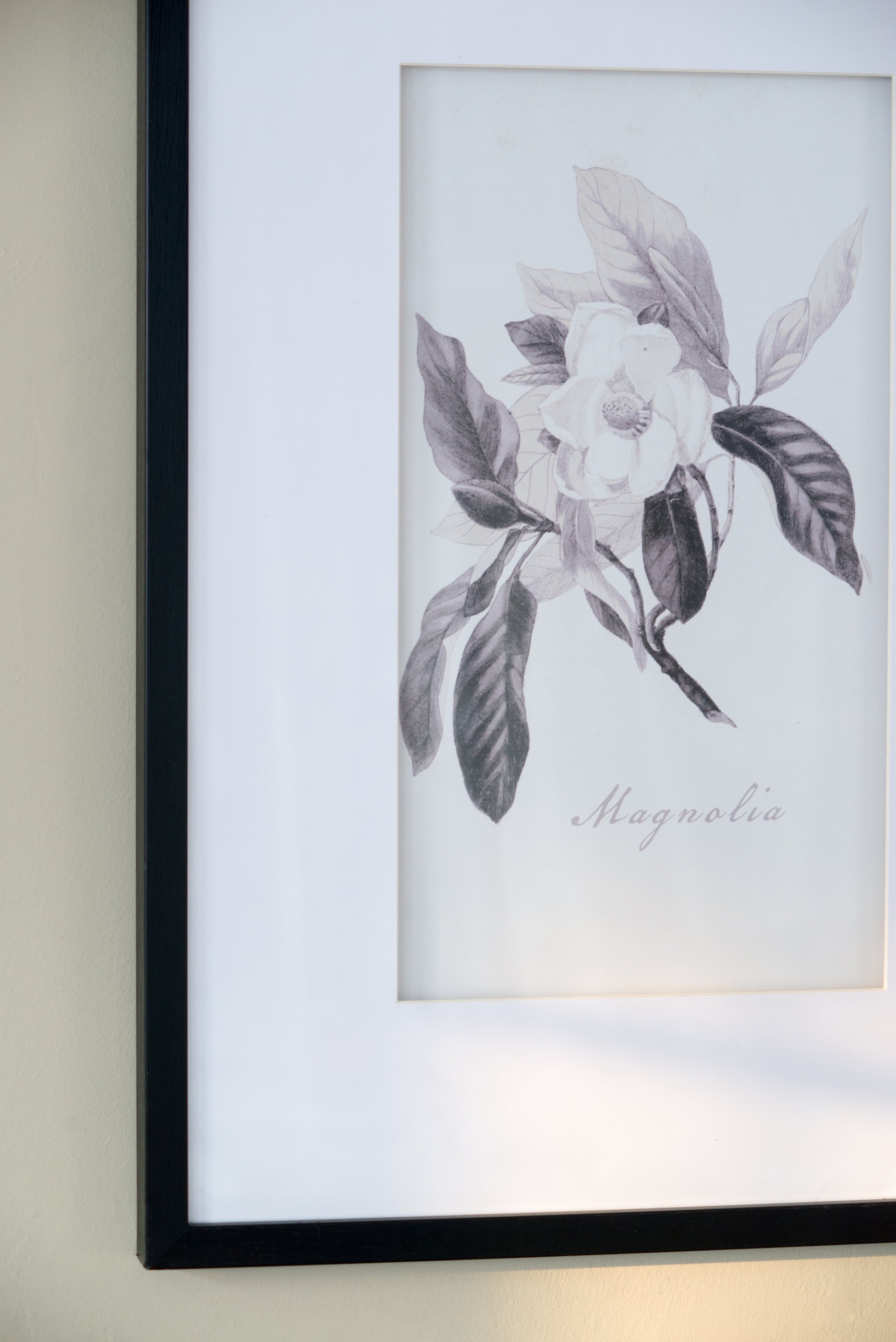 Set Of 4 Botanical Wall Art Prints, Home Decor For Living Room, Dining Room, Bedroom, Hallway, 20" X 28" White Black Plastic
