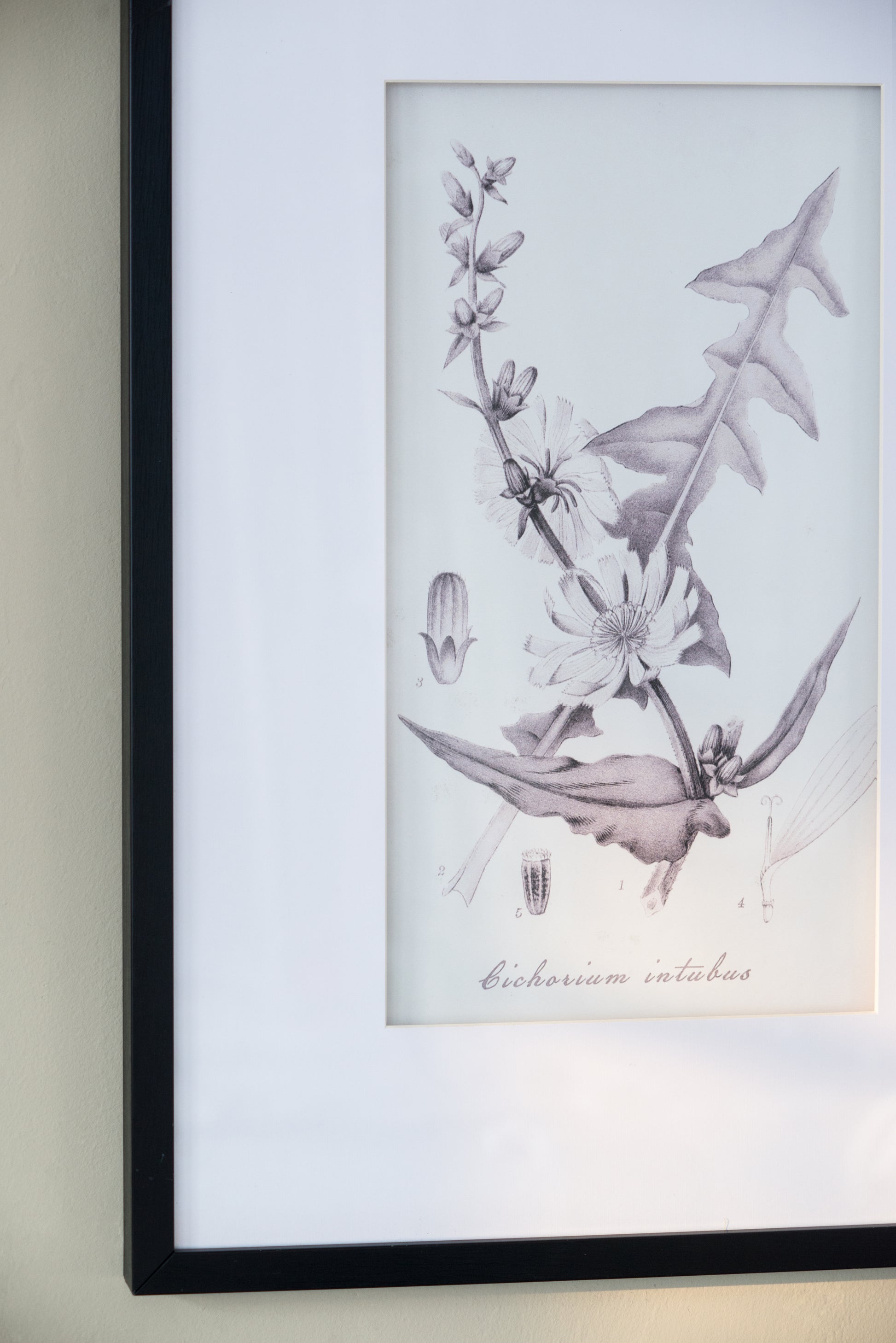 Set Of 4 Botanical Wall Art Prints, Home Decor For Living Room, Dining Room, Bedroom, Hallway, 20" X 28" White Black Plastic