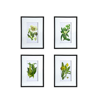Set Of 4 Botanical Flower Wall Art, Home Decor For Living Room, Dining Room, Bedroom, Hallway, 20" X 28" White Blue Plastic
