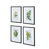 Set Of 4 Botanical Flower Wall Art, Home Decor For Living Room, Dining Room, Bedroom, Hallway, 20" X 28" White Blue Plastic