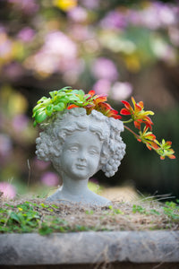 Cement Bust Wall Planter Indoor Outdoor Home Garden Decor, 8" X 4" X 9" Gray Cement