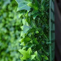 Artificial Grass Wall Panel Backdrop, 12 20" X 20" Boxwood Uv Protection Privacy Coverage Panels For Indoor & Outdoor Decor, Wall & Fence Covering, Sweet Potato, Green Green Polyethylene