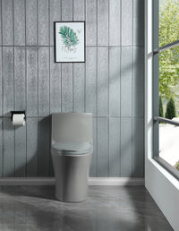 1.1 1.60 Gpf Dual Flush One Piece Toilet, Water Saving Elongated Comfort Height Floor Mounted, Soft Closing Seat, 1000 Gram Map Flushing Score Toilet, Light Grey 23T02 Lg Light Gray Ceramic