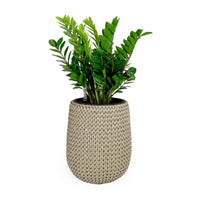 17.3" Self Watering Wicker Planter Garden Decoration Pot Beige Round Beige Rattan Metal