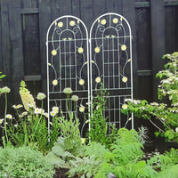 2 Pack Metal Garden Trellis 71" X 19.7" Rustproof Trellis For Climbing Plants Outdoor Flower Support Cream White Cream White Garden & Outdoor Iron