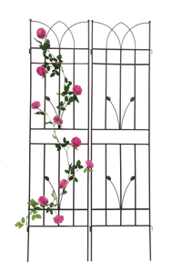 2 Pack Metal Garden Trellis 71" X 17.7" Rustproof Trellis For Climbing Plants Outdoor Flower Support Brown Brown Iron