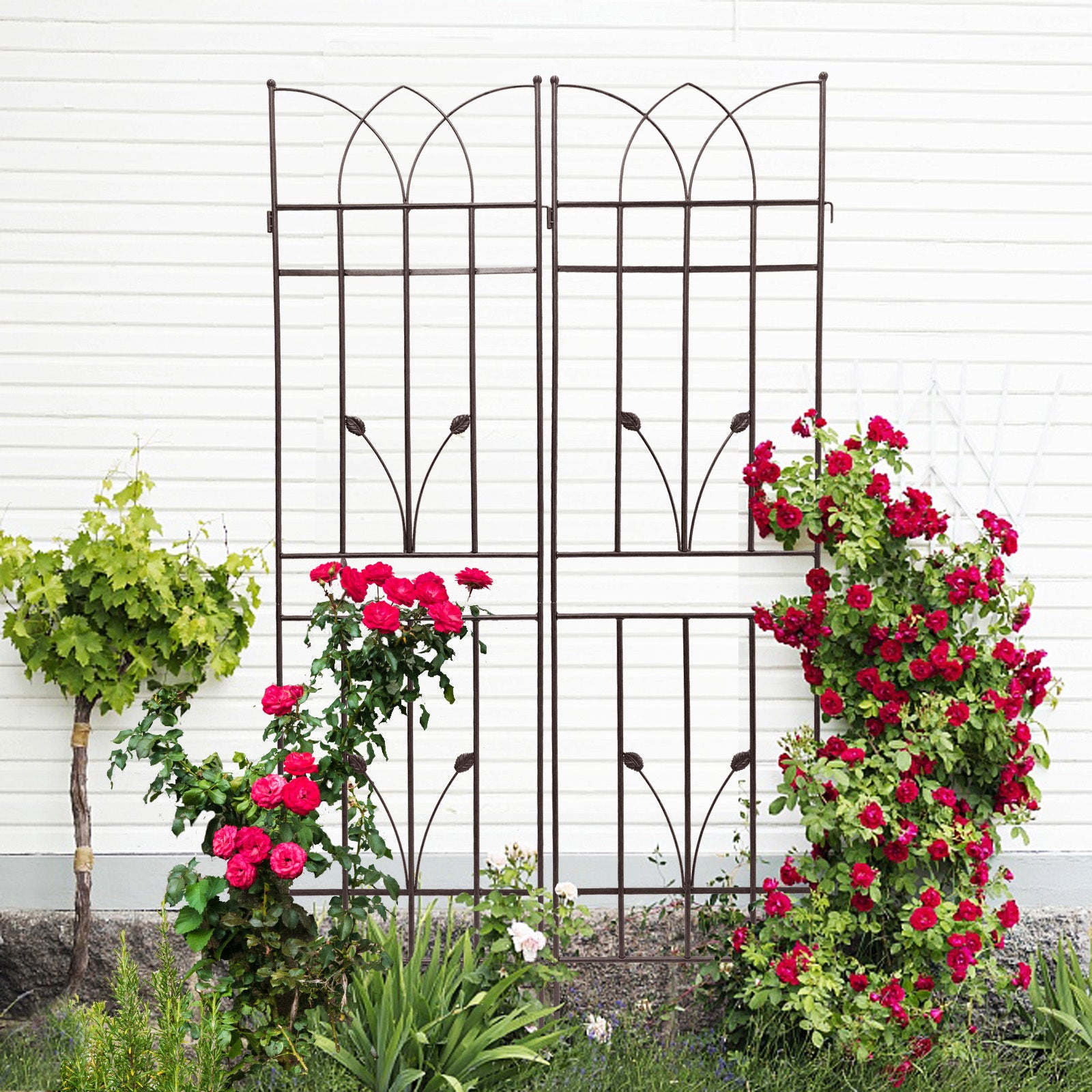 2 Pack Metal Garden Trellis 71" X 17.7" Rustproof Trellis For Climbing Plants Outdoor Flower Support Brown Brown Iron