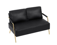 Small Sofa Seater Pet Friendly Fabric Upholstered Loveseat 2 Seater Couch With Removable Back Cushion And Metal Leg, Modern Couches For Small Spaces Living Room, Bedroom, Apartment, Black Black Fabric