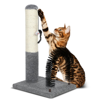 18 Inch Cat Scratching Post Pad With Cat Self Groomer,Cat Scratcher With Cat Brush,Kitten Scratch Post With Activity Dangling Ball,Indoor Cat Scratch Board For Kittens Kitty Cats,Protect Furniture Gray Cat Paper