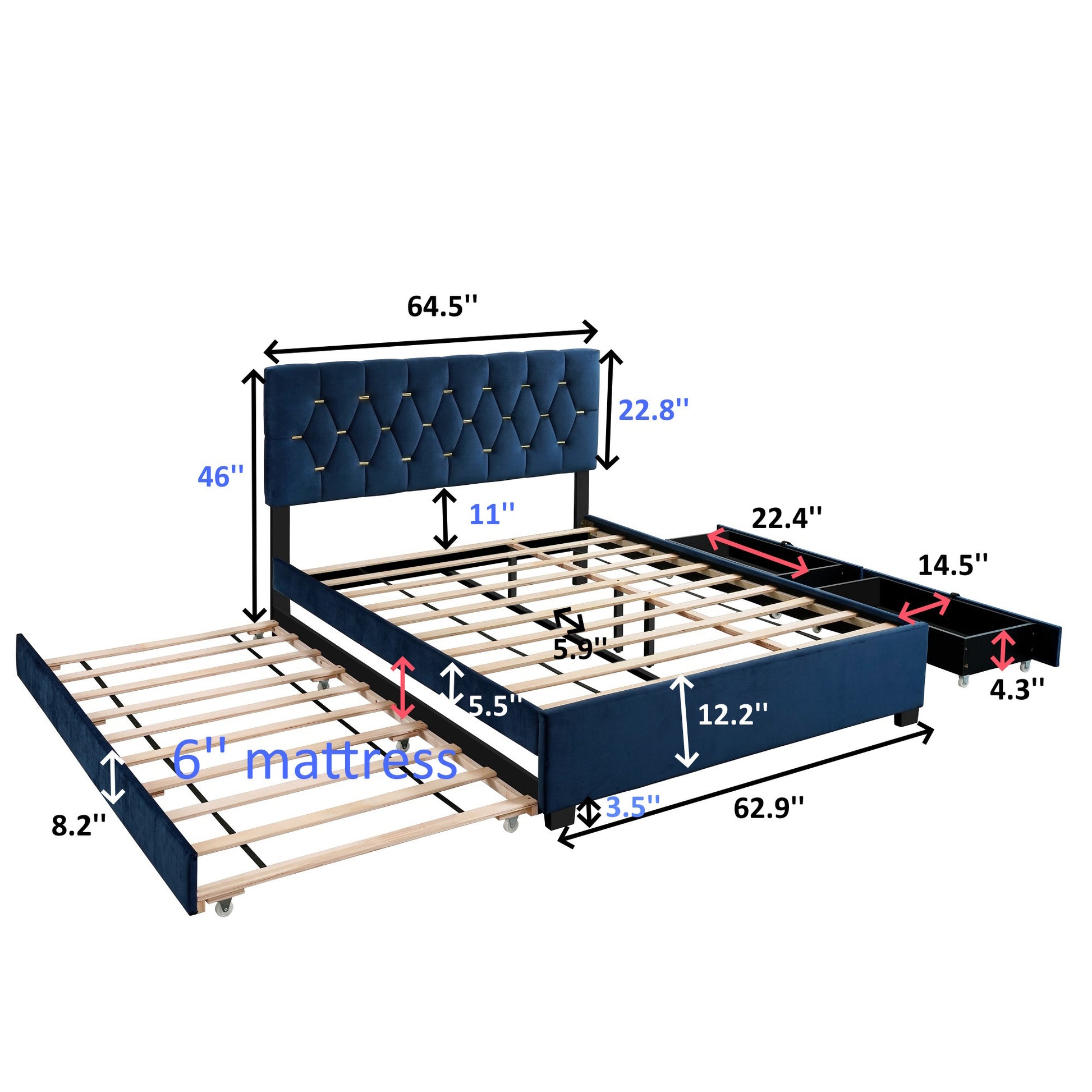 Blue Queen Size Trundle Pull Out Drawers Storage Upholstered Bed Modern Design No Box Spring Required Box Spring Not Required Queen Blue Wood Espresso Bedroom Casual,Contemporary,Modern Rubberwood