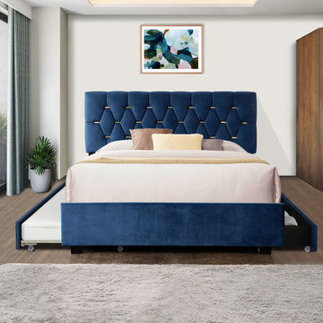 Blue Queen Size Trundle Pull Out Drawers Storage Upholstered Bed Modern Design No Box Spring Required Box Spring Not Required Queen Blue Wood Espresso Bedroom Casual,Contemporary,Modern Rubberwood