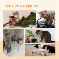 Pawhut Cat Wheel For Indoor Cats, 36" Cat Treadmill With Scratching Pads, Cat Exercise Running Wheel With Brake For Health And Fitness, Oak Oak Wood