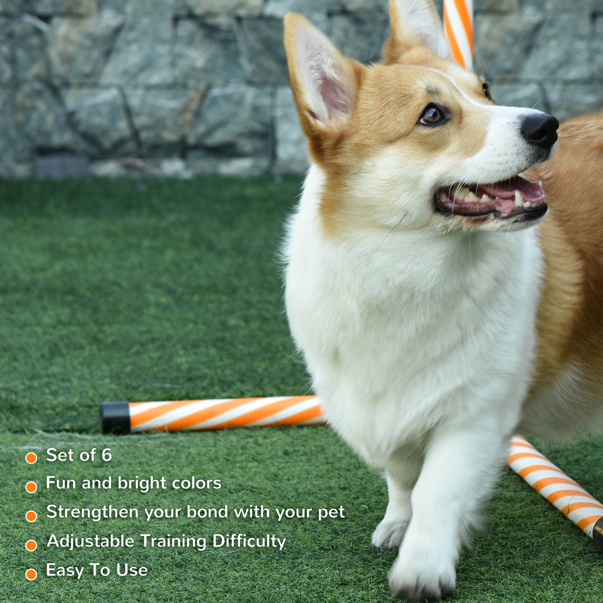 Pawhut 6 Piece Dog Agility Training Equipment With Hurdle Bag And Whistle, Orange And White Orange Plastic