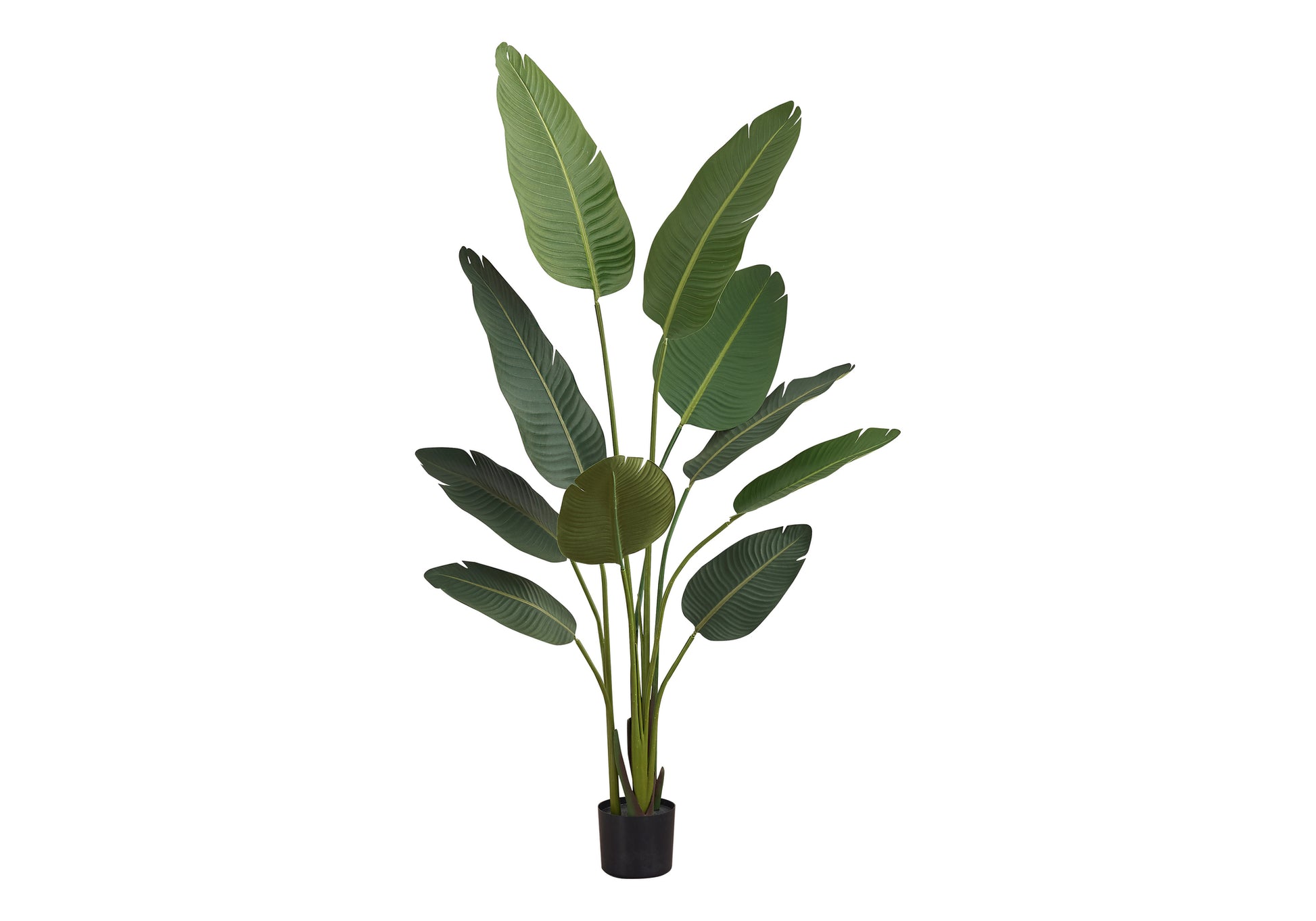 Artificial Plant, 60" Tall, Bird Of Paradise Tree, Indoor, Faux, Fake, Floor, Greenery, Potted, Decorative, Green Leaves, Black Pot Green Foam Plastic