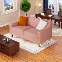 Fx P85 2S Pk 2 Seats Sofa Luxury Pink Velvet Loveseat Sofa With Gold Accents Modern 3 Seat Couch With Plush Cushions, Perfect For Living Room And Office Decor Temu Suitable Pink Velvet