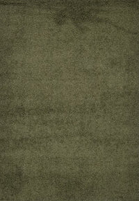 Shaggy Area Rugs, Carpets For Livingroom, 5X7 Area Rugs ,Shaggy Green Rectangle 5&7 Green Contemporary Abstract Polypropylene