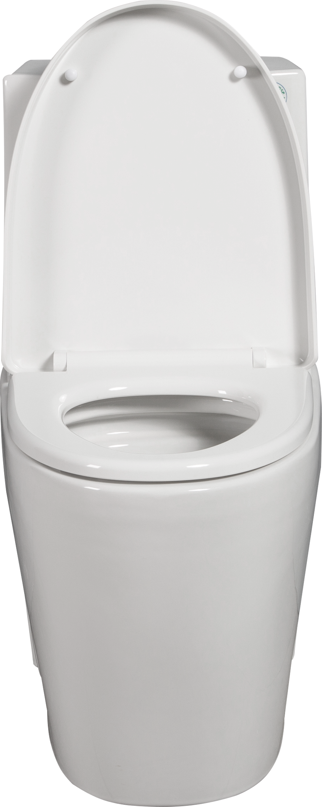 One Piece Toilet, 1.1 1.60 Gpf Water Efficient Dual Flush Elongated Comfort Height Floor Mounted, Standard Size Toilet With Soft Closing Seat Included, Glossy White 24T01 Gw White Ceramic