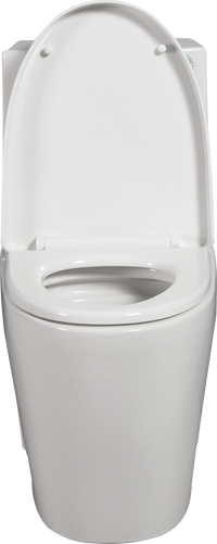 One Piece Toilet, 1.1 1.60 Gpf Water Efficient Dual Flush Elongated Comfort Height Floor Mounted, Standard Size Toilet With Soft Closing Seat Included, Glossy White 24T01 Gw White Ceramic