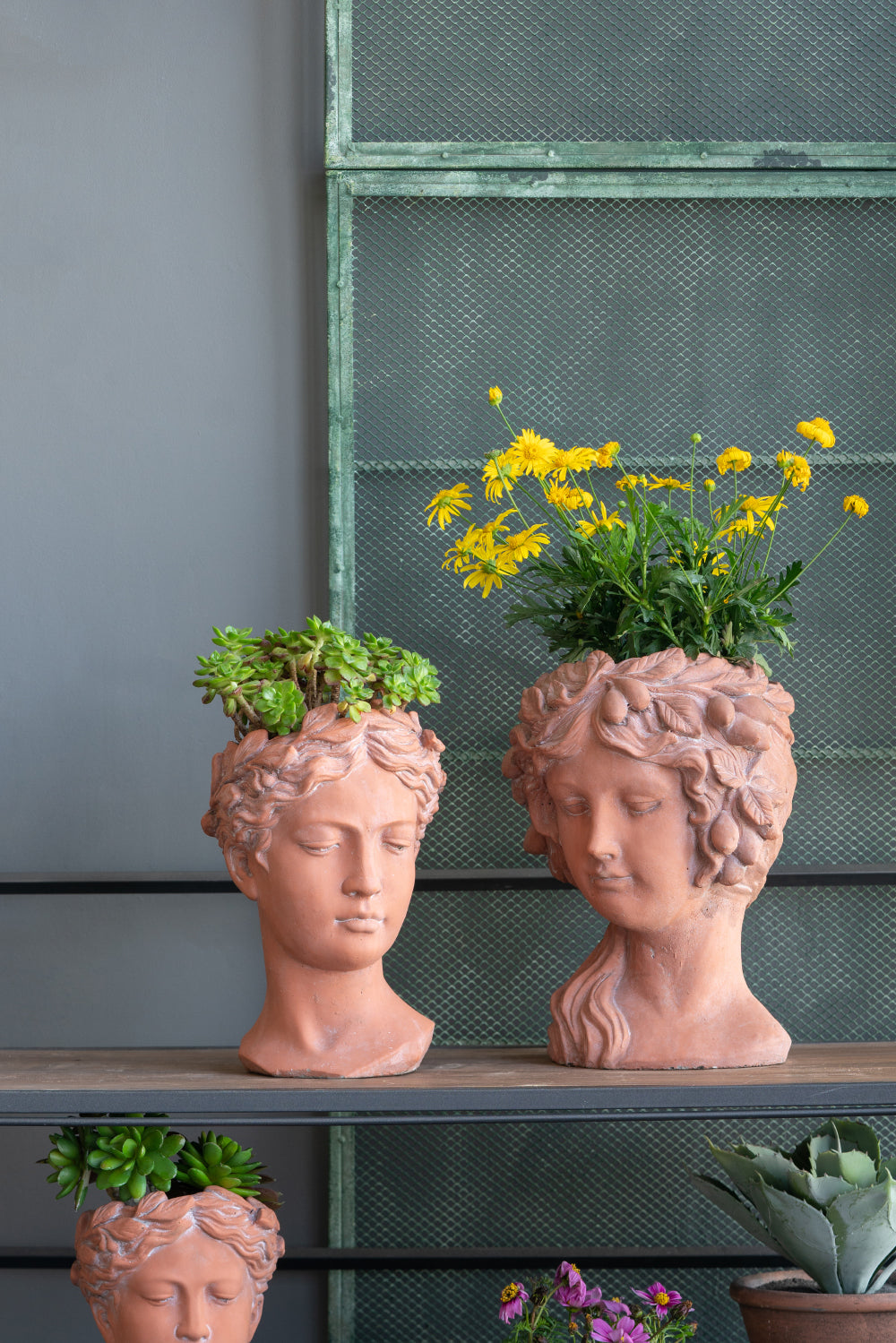 8X9X11.5" Brown Head Bust Planter, Greek Style Cement Head Planter Indoor Outdoor Home Garden Decor Brown Garden & Outdoor Cement