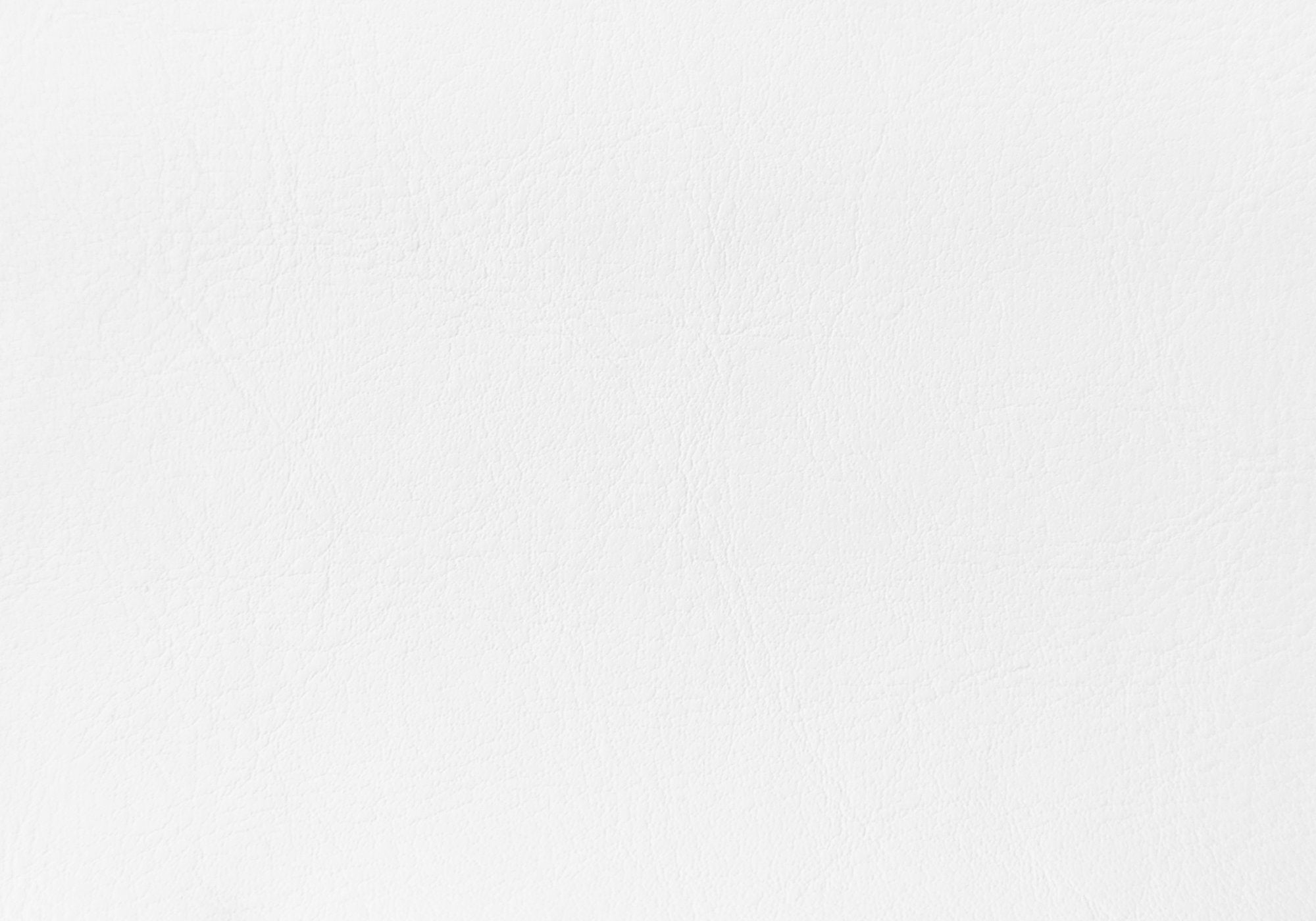 Bed, Queen Size, Bedroom, Upholstered, White Leather Look, Transitional White Foam Faux Leather