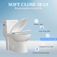 1.28 Gpf One Piece Toilet Single Flushwater Saving Elongated Comfort Height Floor Mounted, Soft Closing Seat, 1000 Gram Map Flushing Score Toilet, Gloss White 23T03 Gw White Ceramic