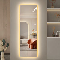 65X22Inch Full Body Mirror With Lights Full Length Mirror Wall Hanging Type Suitable For Bedrooms, Dimming And 3 Color Lighting Silver Modern Glass