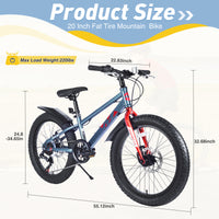 20 Inch Kids Bicyclesfat Tire Mountain Bike For Boys And Girls Age 5 Years ,Dual Disc Brake,Shimano 7 Speed ,Kids Beach And Snow Bicycle Grey Steel