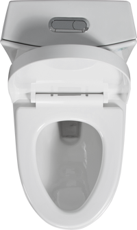 One Piece Toilet, 1.1 1.60 Gpf Water Efficient Dual Flush Elongated Comfort Height Floor Mounted, Standard Size Toilet With Soft Closing Seat Included, Glossy White 24T01 Gw White Ceramic